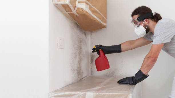 Professional Mold Removal technician working in Locust Hill, VA