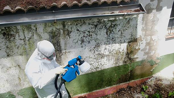 Trusted Mold Testing service in Locust Hill, VA - Cheap Mold Removal